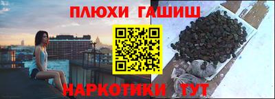 дживик Моздок