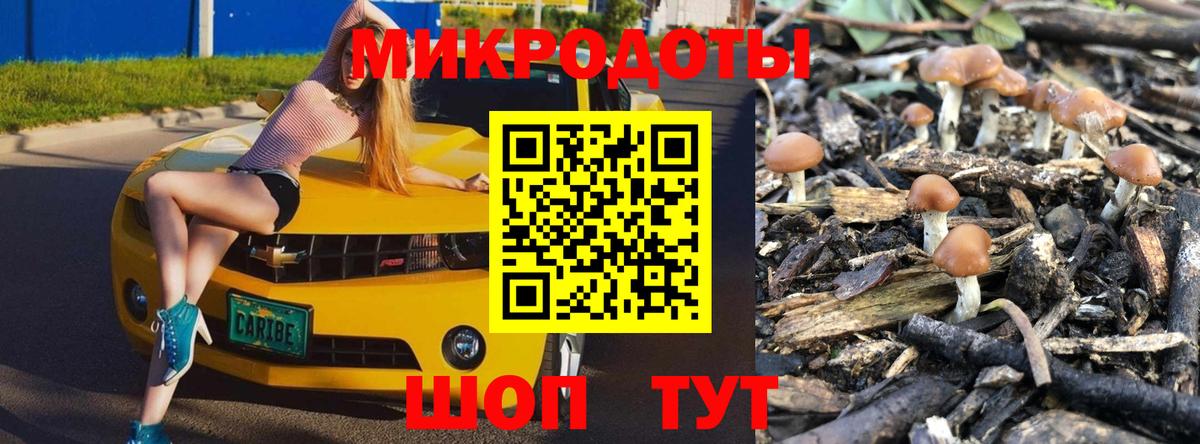 Галлюциногенные грибы Cubensis Вичуга